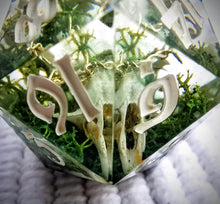 Load image into Gallery viewer, Crown of Thorns