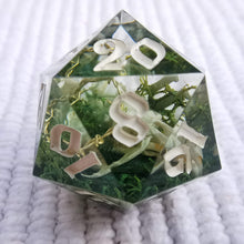 Load image into Gallery viewer, Crown of Thorns