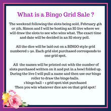 Load image into Gallery viewer, Bingo Grid Sale Slots
