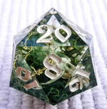 Load image into Gallery viewer, Crown of Thorns