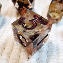 Load image into Gallery viewer, Devil&#39;s Backbone