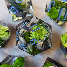 Load image into Gallery viewer, Agender and Aromantic Pride