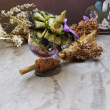 Load image into Gallery viewer, Sweetpea