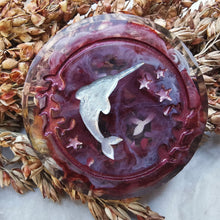 Load image into Gallery viewer, Sanguine