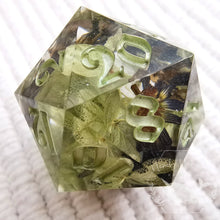 Load image into Gallery viewer, Druids Hollow Chonk