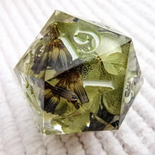 Load image into Gallery viewer, Druids Hollow Chonk